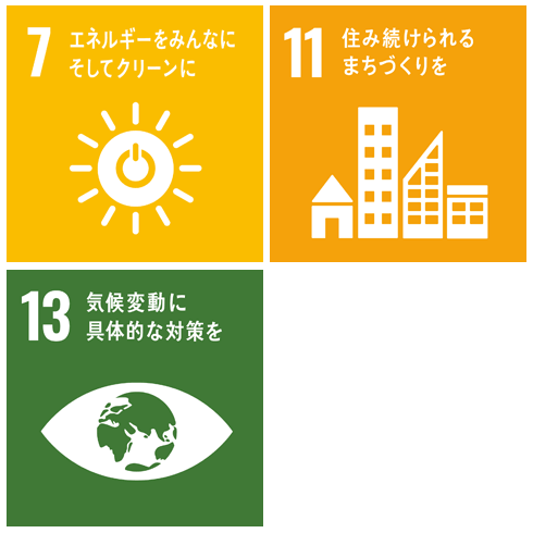 SDGs5